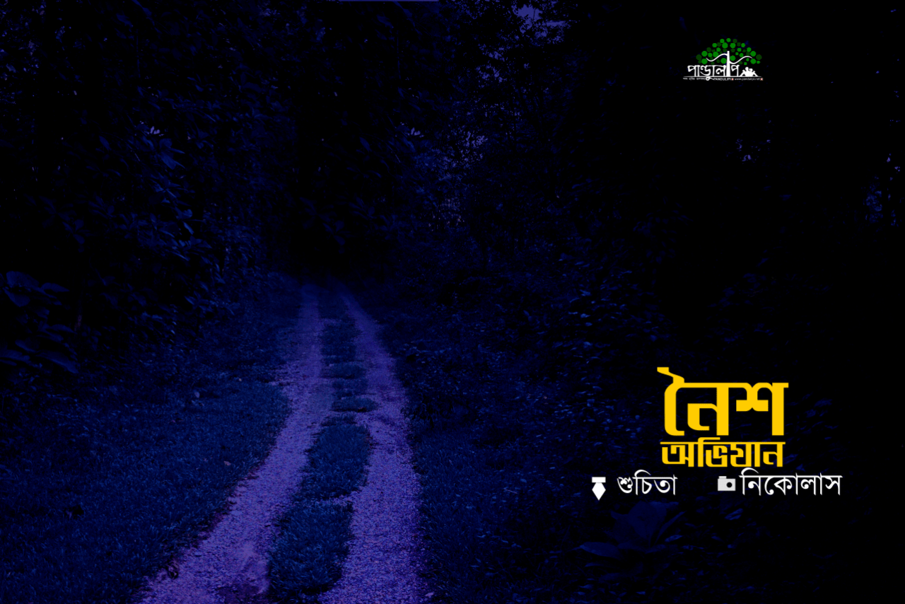 নৈশ অভিযান